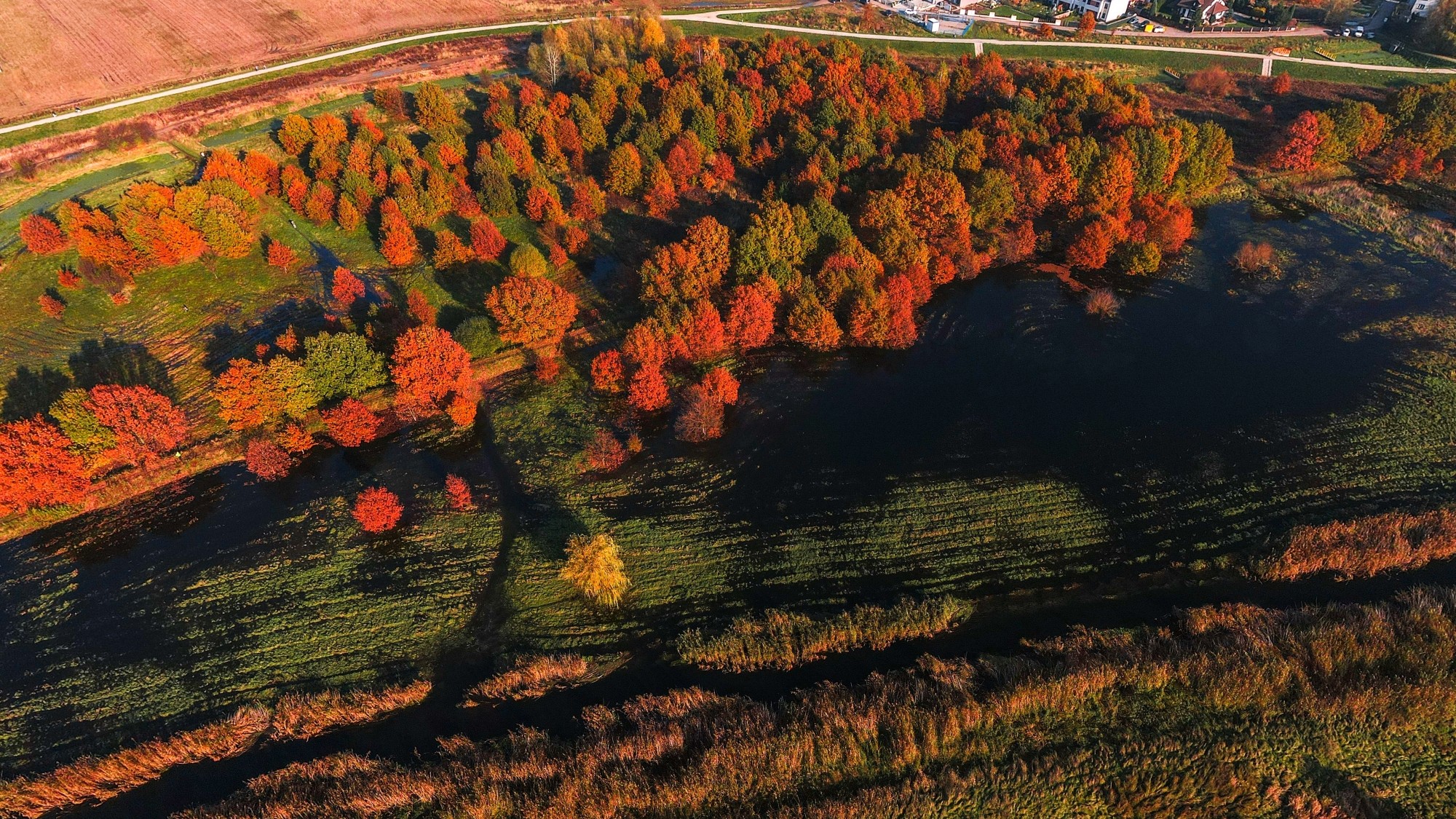 Jesień w Polsce z lotu ptaka - zdjęcie 9