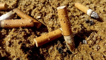 Zakaz palenia na włoskich plażach. Po zebraniu w Bibione 0,5 mln "petów" kolejne kurorty mówią dość
