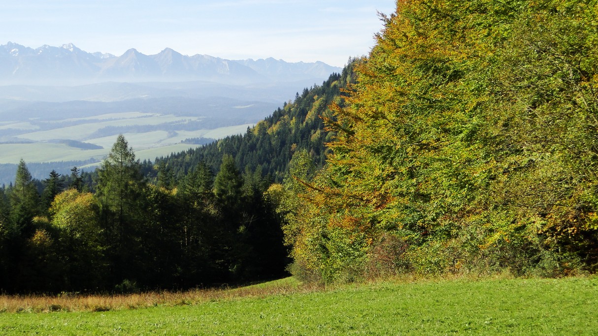 Piękno polskich gór - zdjęcie 66