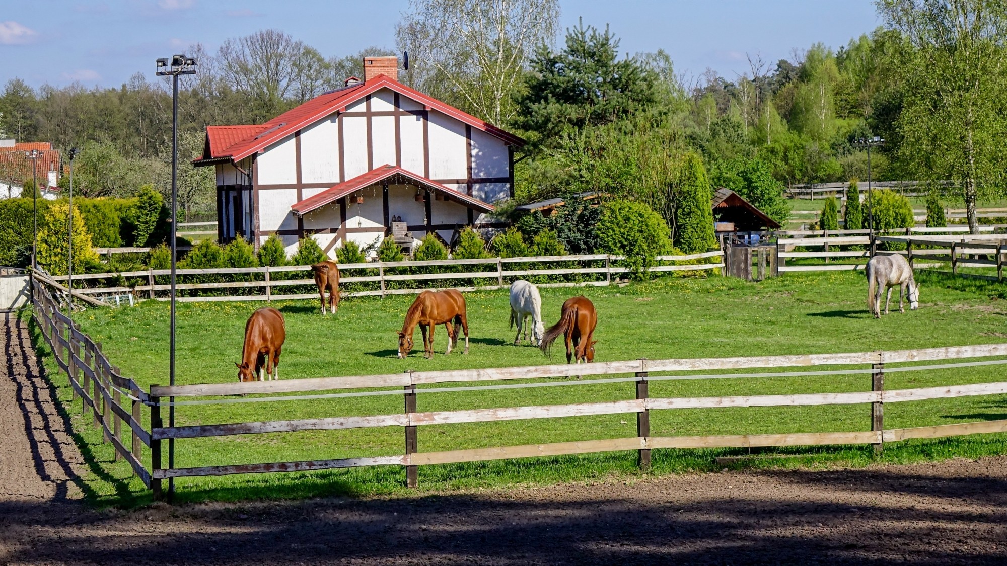 Z kamerą wśród zwierząt - zdjęcie 74