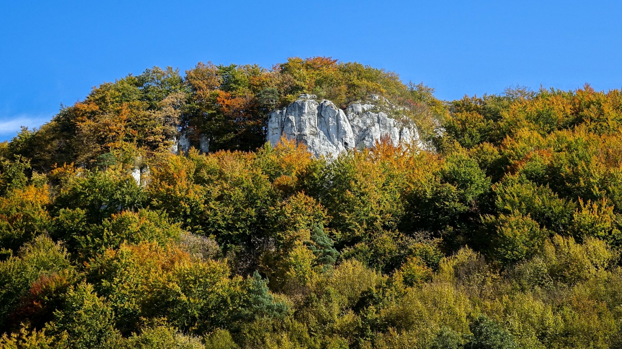 Październik w obiektywie - zdjęcie 50