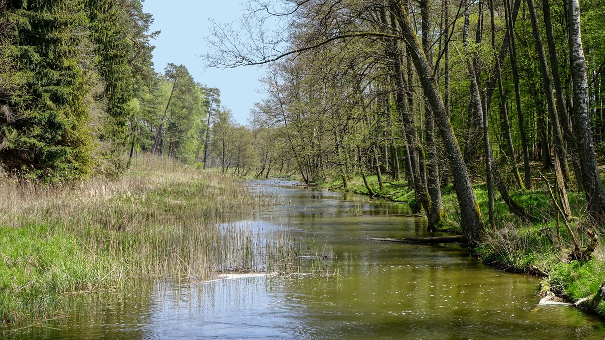 Nad morzem, jeziorami i rzekami - zdjęcie 70