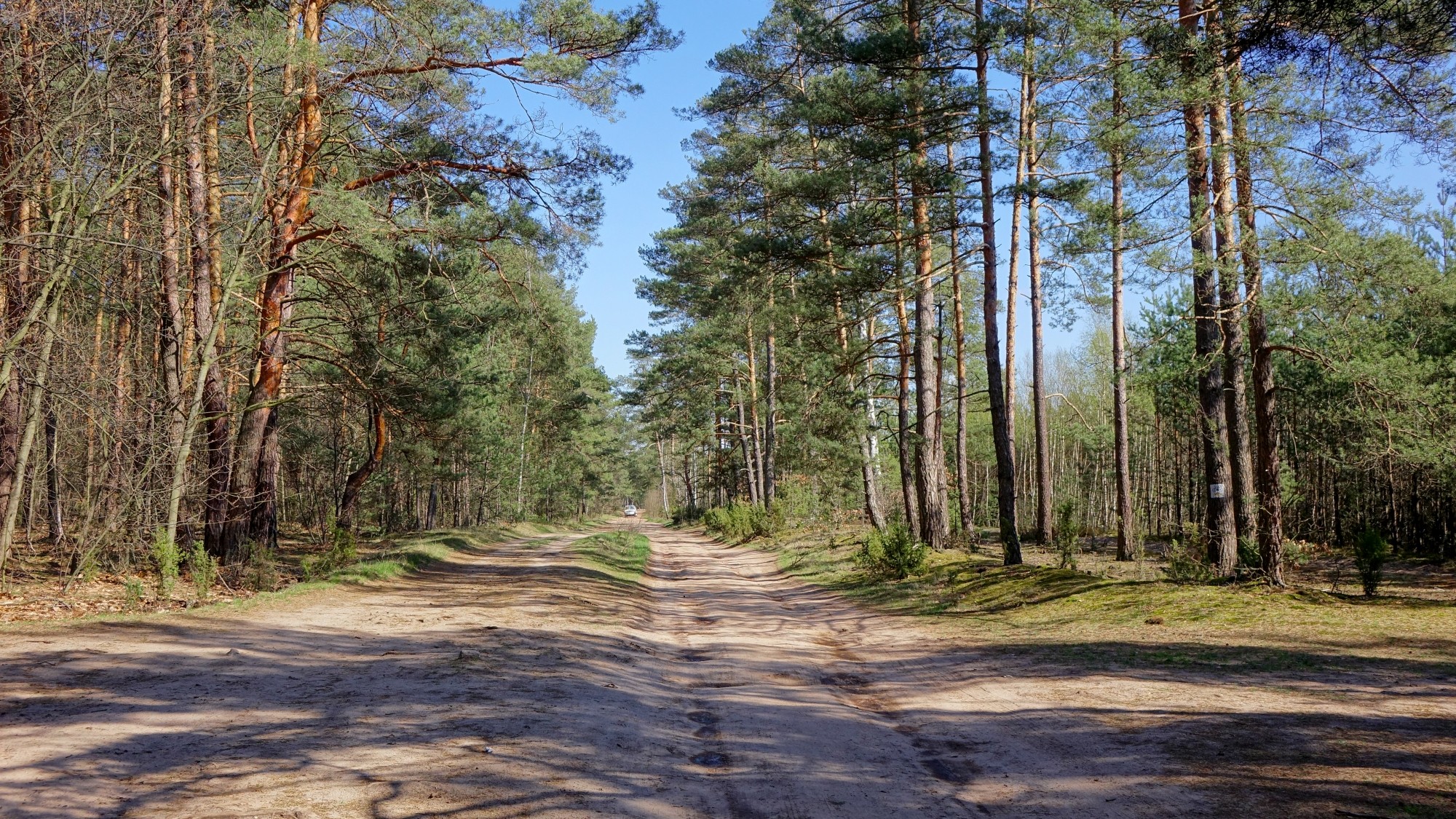 Urocze zakątki w lasach - zdjęcie 58
