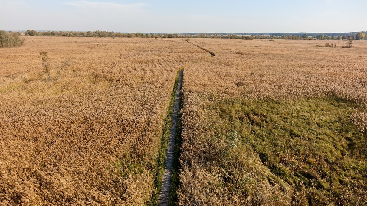 Październik w obiektywie - zdjęcie 26