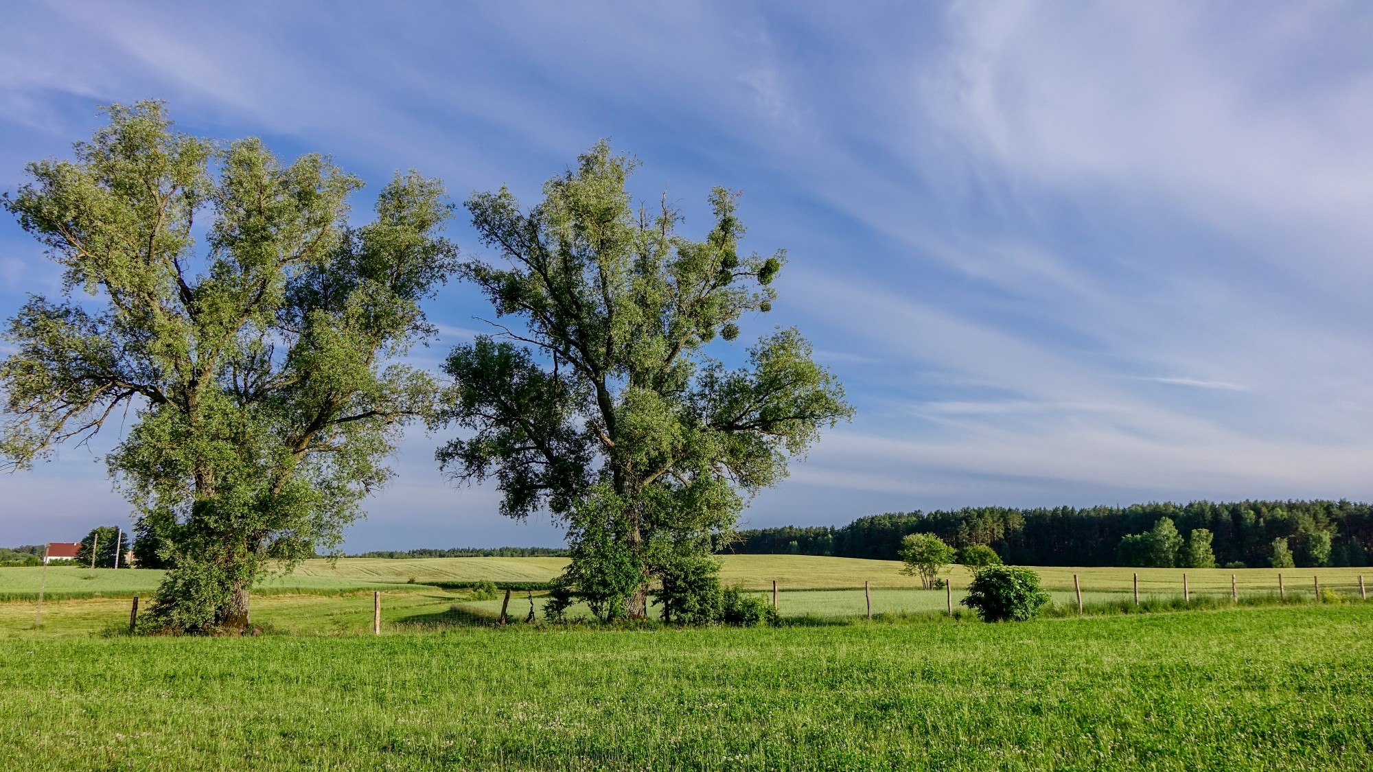 Odkryj piękno Polski w wakacje - zdjęcie 24