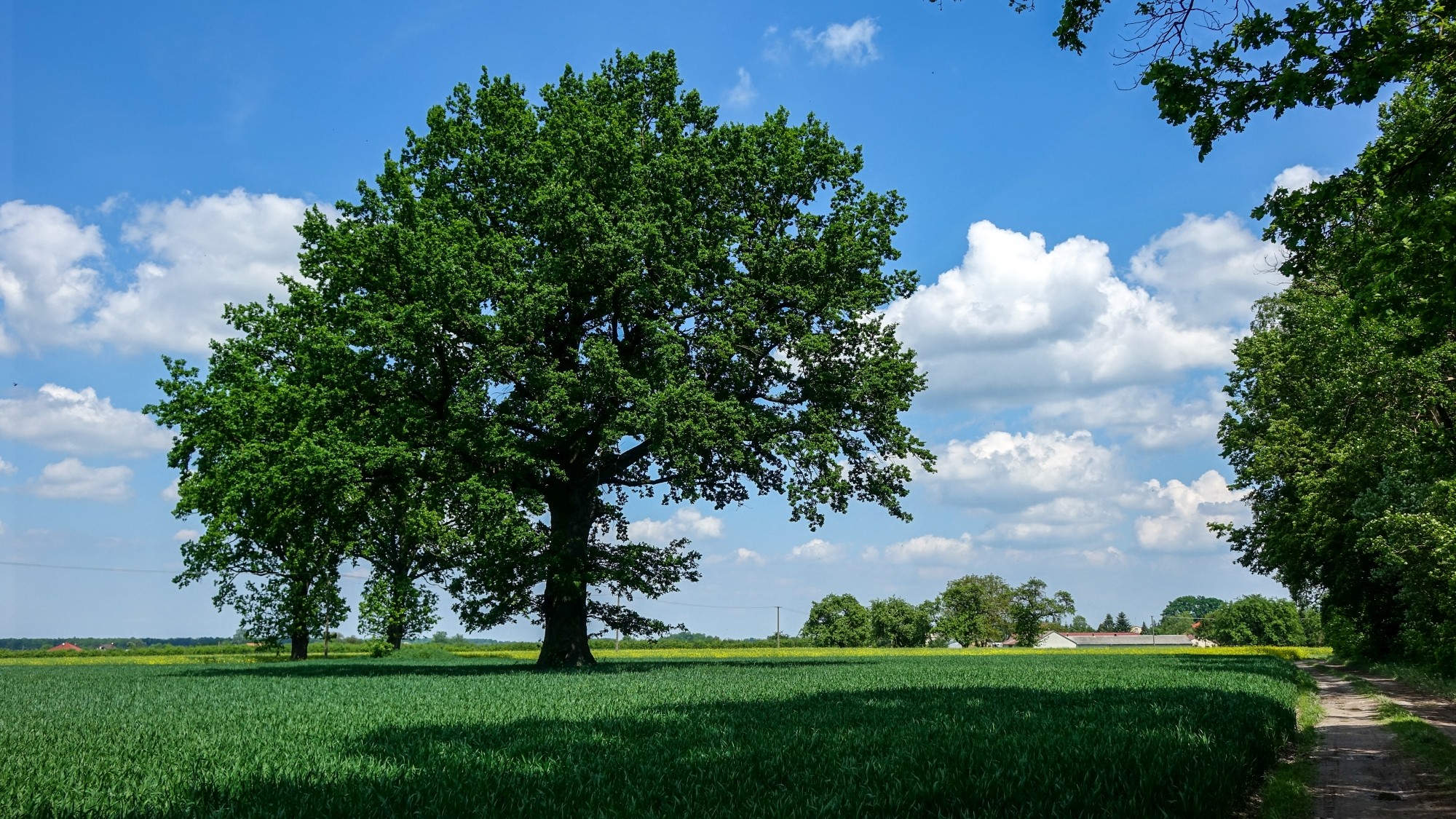 Maj w obiektywie - zdjęcie 57