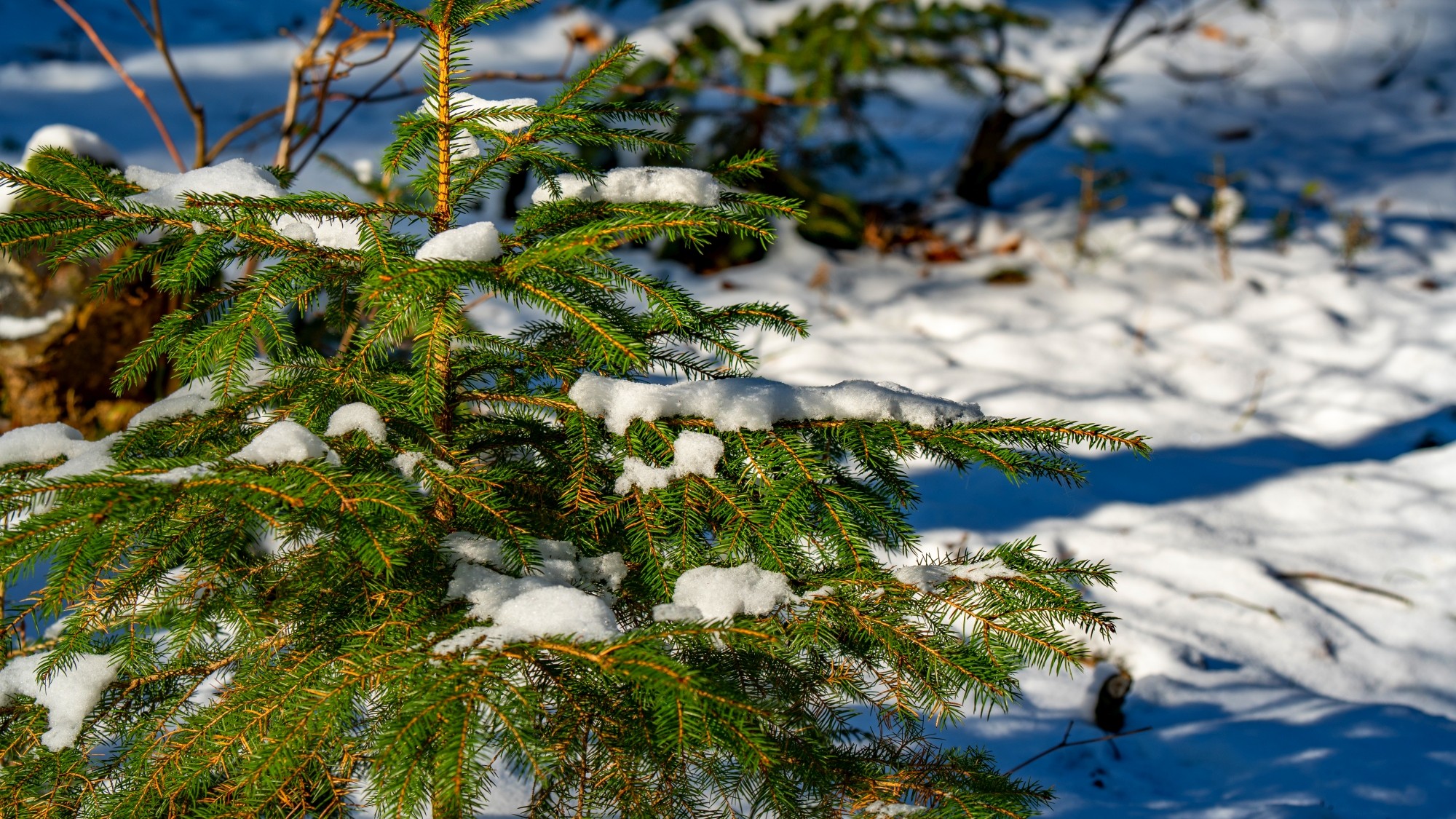 Zima w górach - zdjęcie 48
