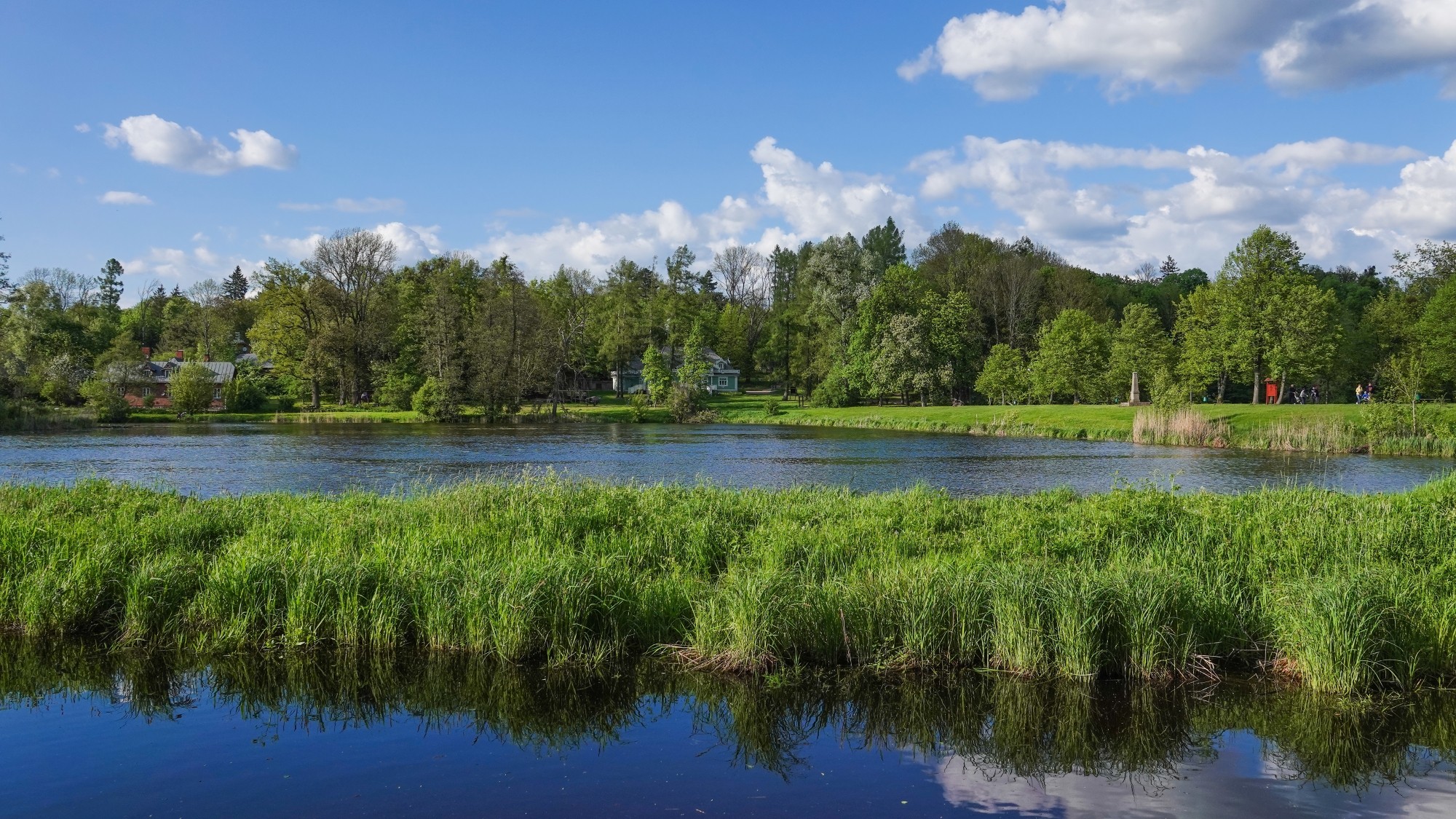 100 najpiękniejszych zdjęć 2021 roku - zdjęcie 99