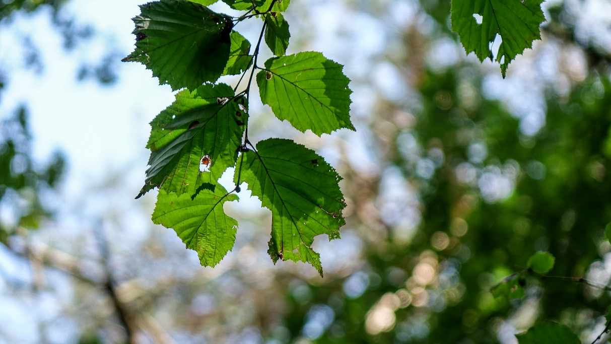 Sierpień w obiektywie - zdjęcie 29
