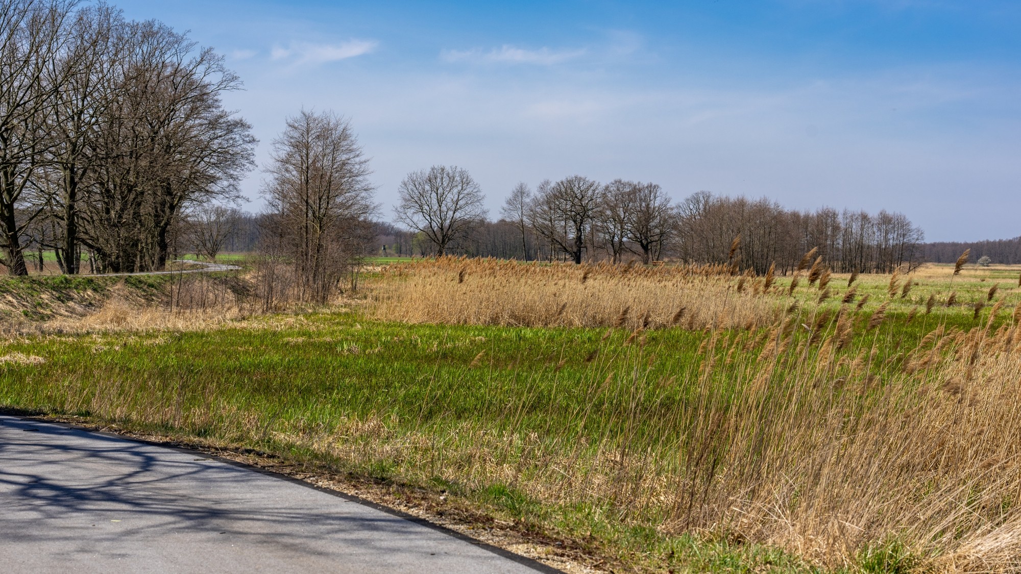 Miejska przyroda - zdjęcie 51