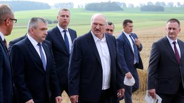 "Kradną, co mogą". Łukaszenka interweniuje ws. słabych żniw, wskazał winnych