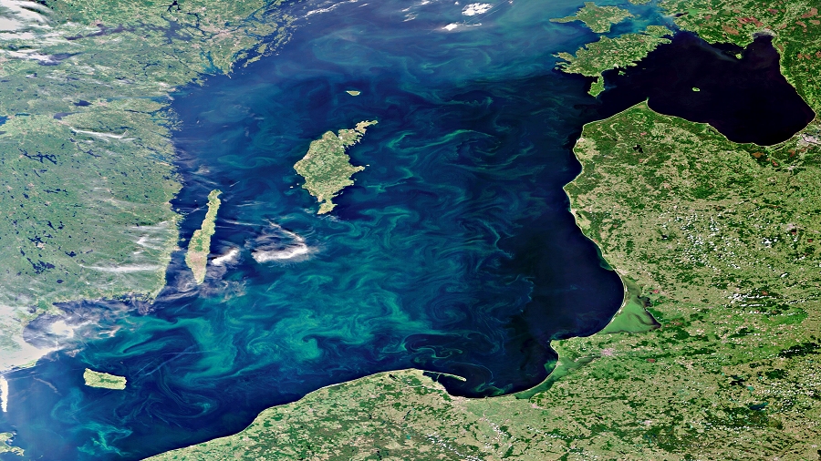 Zdjęcie satelitarne Morze Bałtyckiego. Fot. ESA.