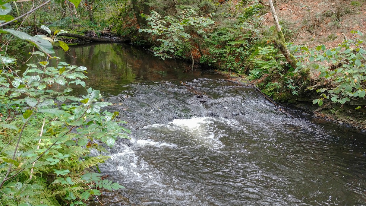 Wrzesień w obiektywie - zdjęcie 41