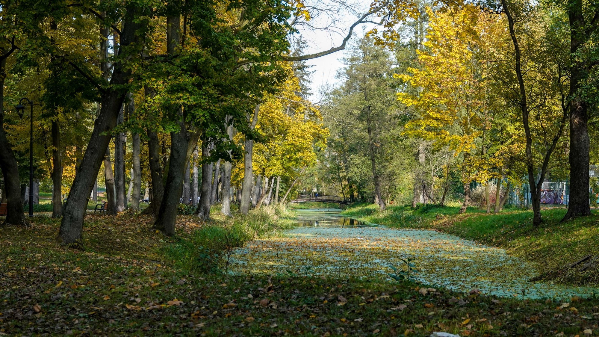 Wszystkie barwy jesieni - zdjęcie 56