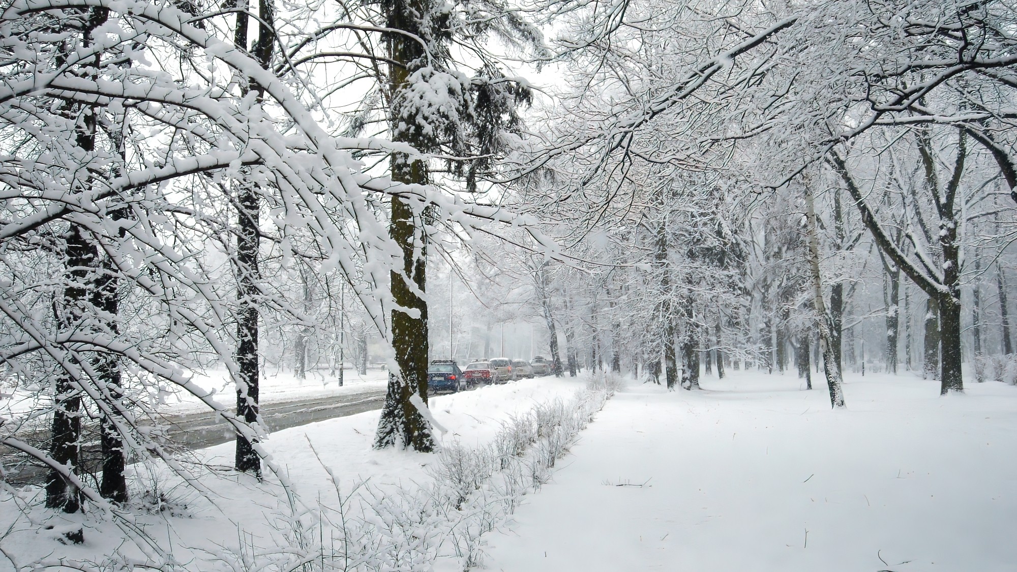 Śnieżne zimy sprzed lat - zdjęcie 15