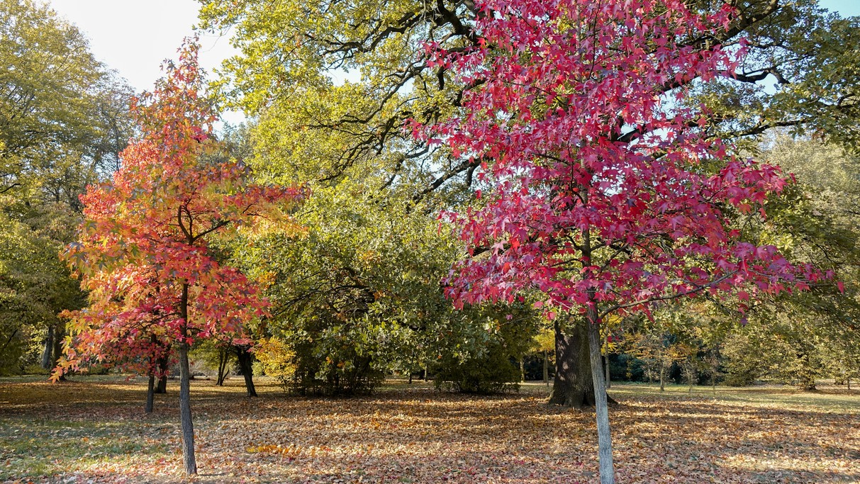 Jesienne klimaty - zdjęcie 27