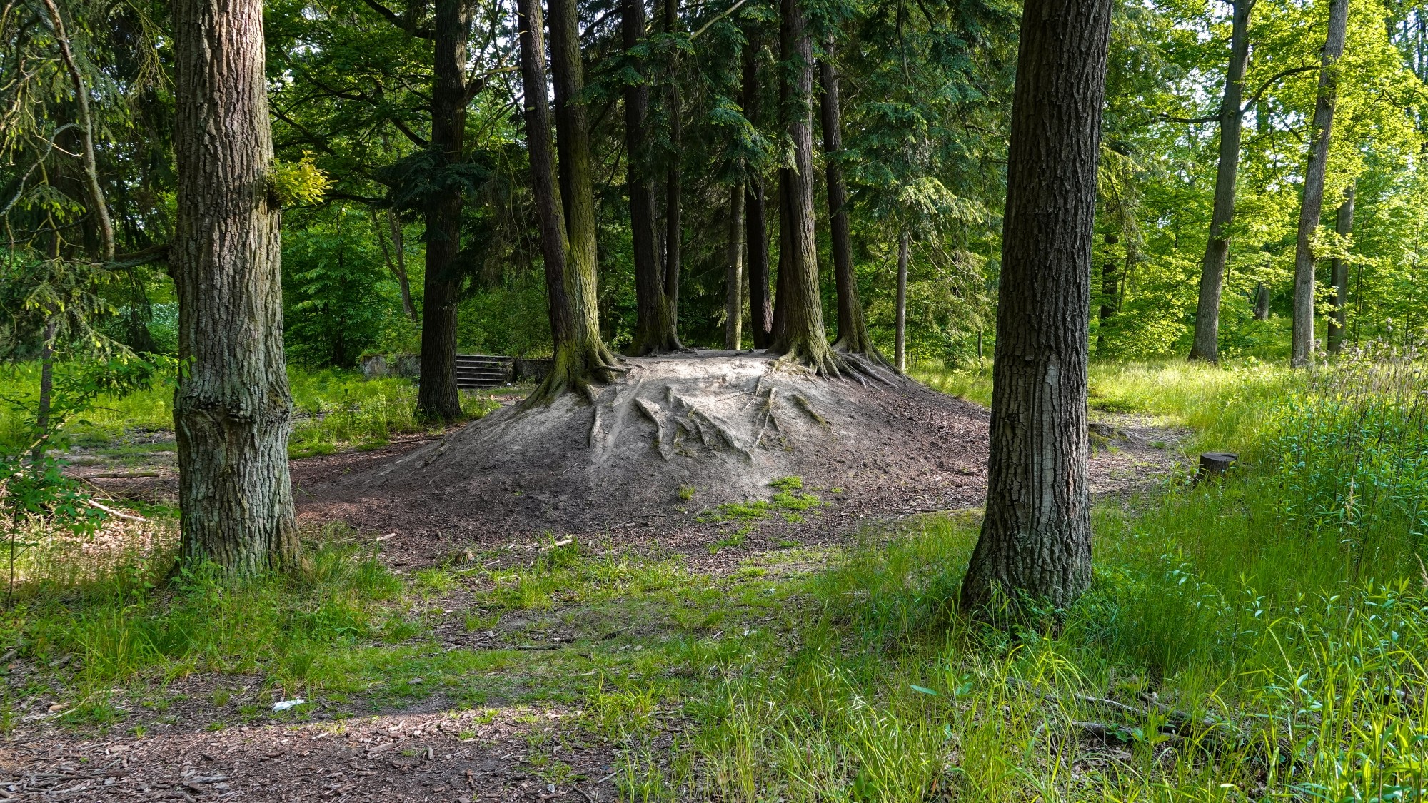 Całe piękno późnej wiosny - zdjęcie 39