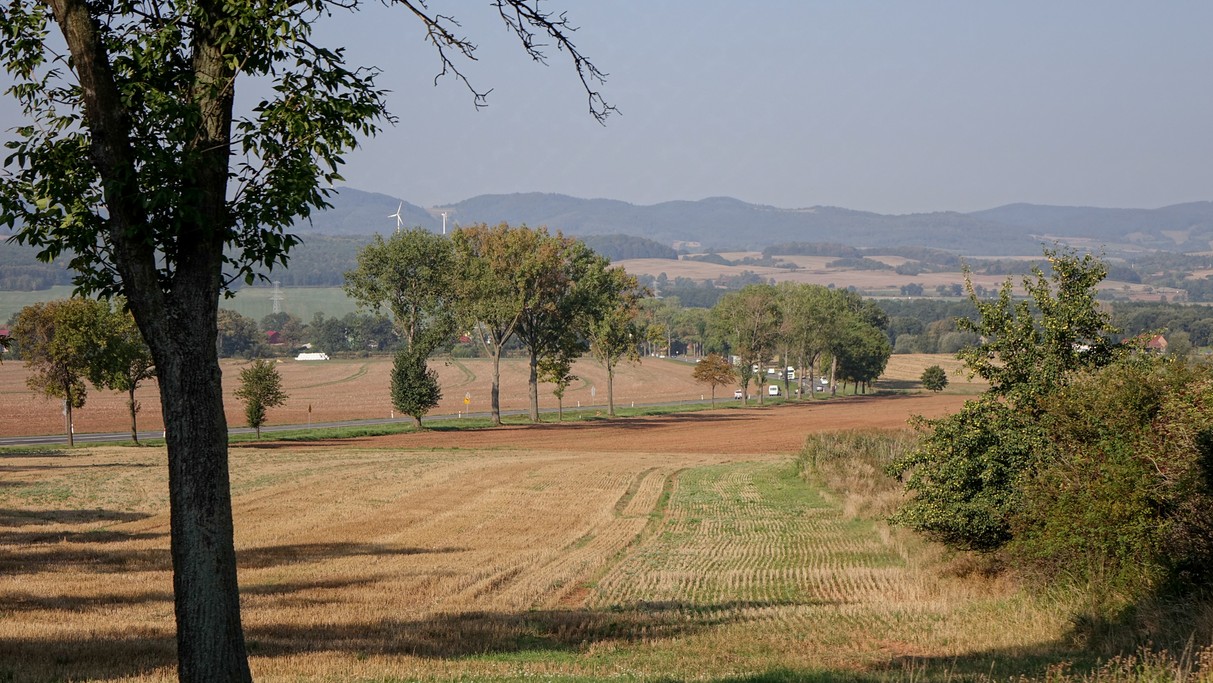 Uroki końca lata - zdjęcie 22