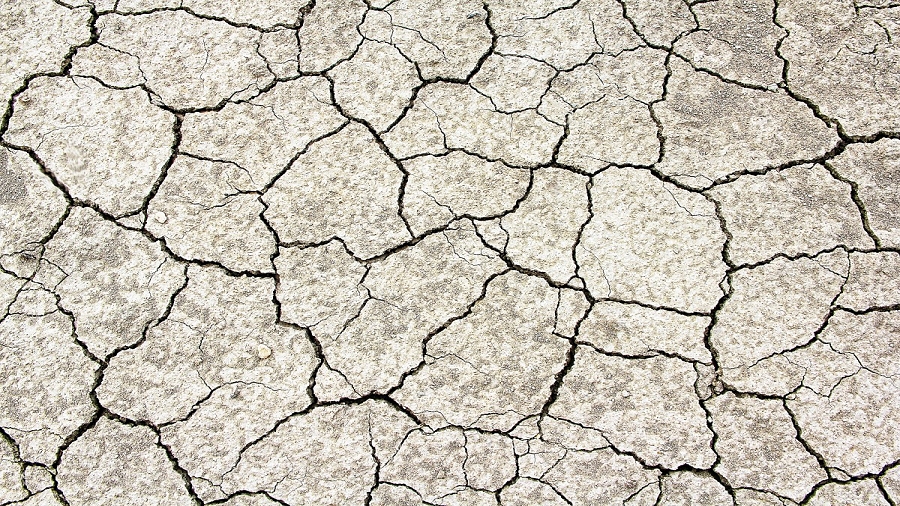 20.04.2019 07:00 Rolnicy wciąż czekają na deszcz. Ostatni spadł niemal miesiąc temu. Kiedy susza odpuści?