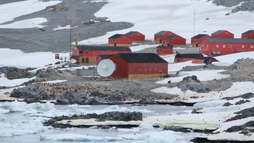 Szczepionki na Antarktydzie. Przebyły 16 tys. kilometrów