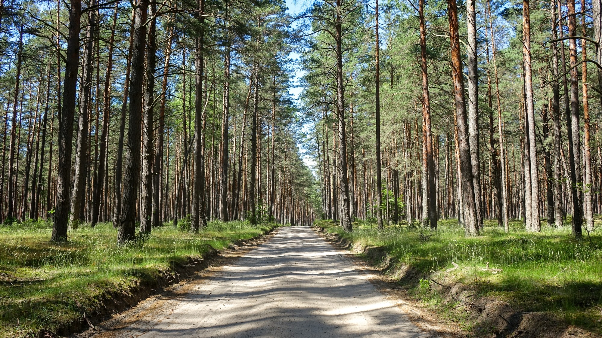 Całe piękno polskiej prowincji - zdjęcie 56