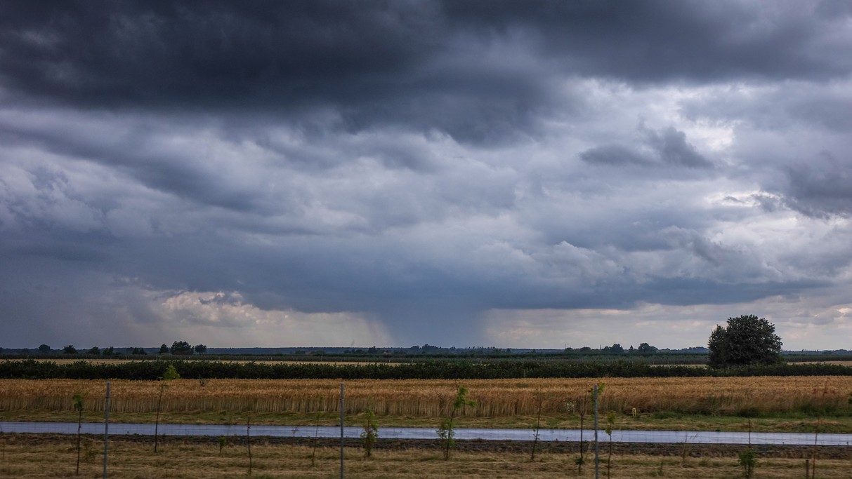 Czerwiec w obiektywie - zdjęcie 20