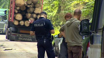 Policja i straż leśna kierują wnioski o ukaranie protestujących przeciwko wycince w Puszczy Białowieskiej. 70 zarejestrowanych spraw