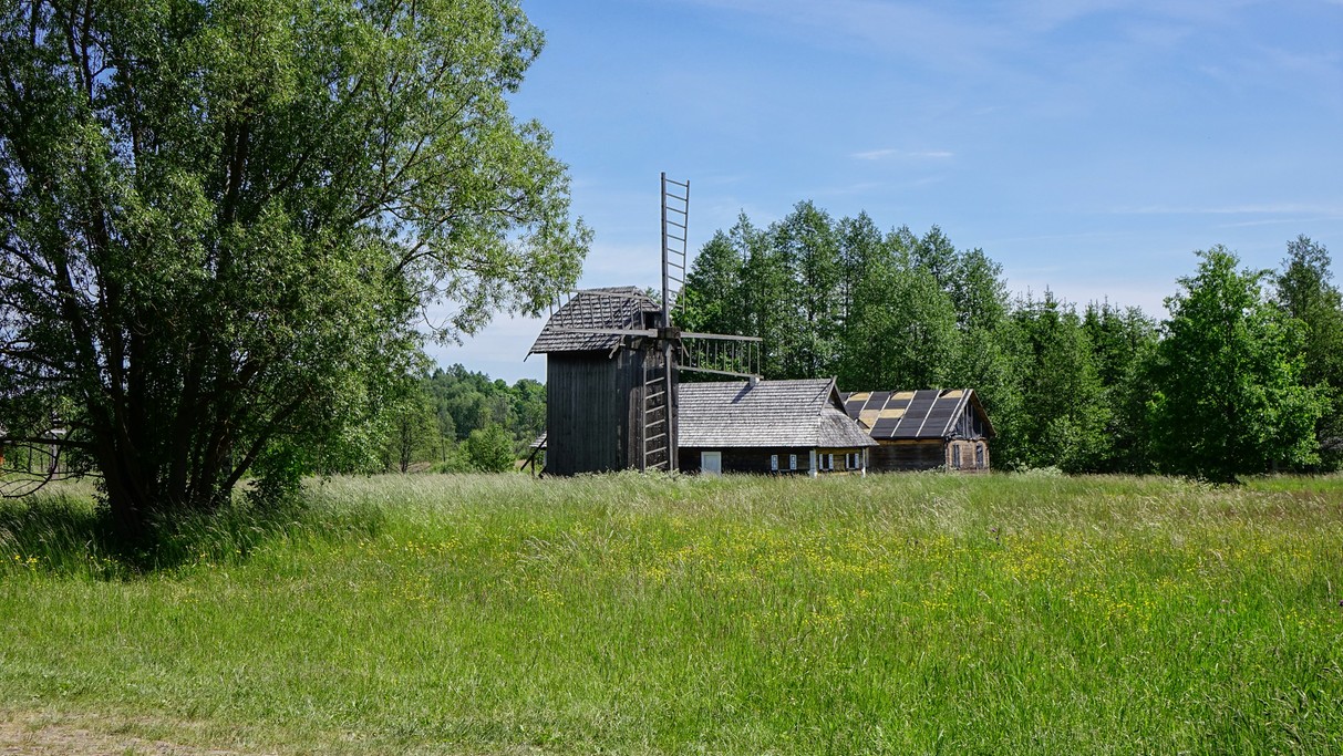 Białowieski Park Narodowy - zdjęcie 17
