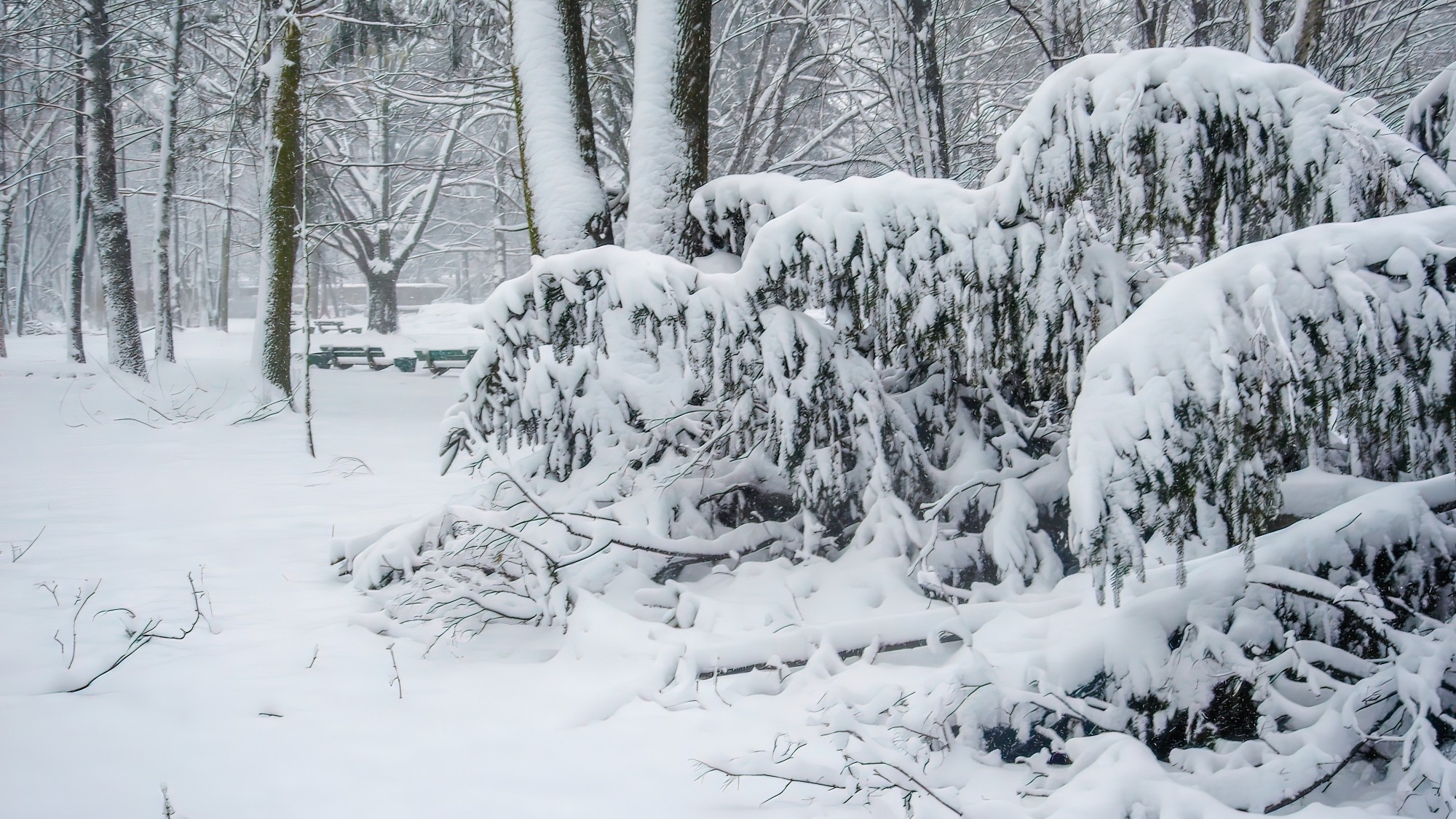 Śnieżne zimy sprzed lat - zdjęcie 14