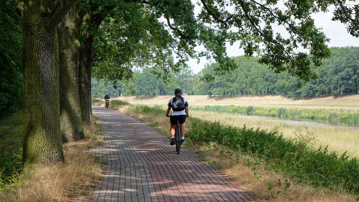 Czerwiec w obiektywie - zdjęcie 25