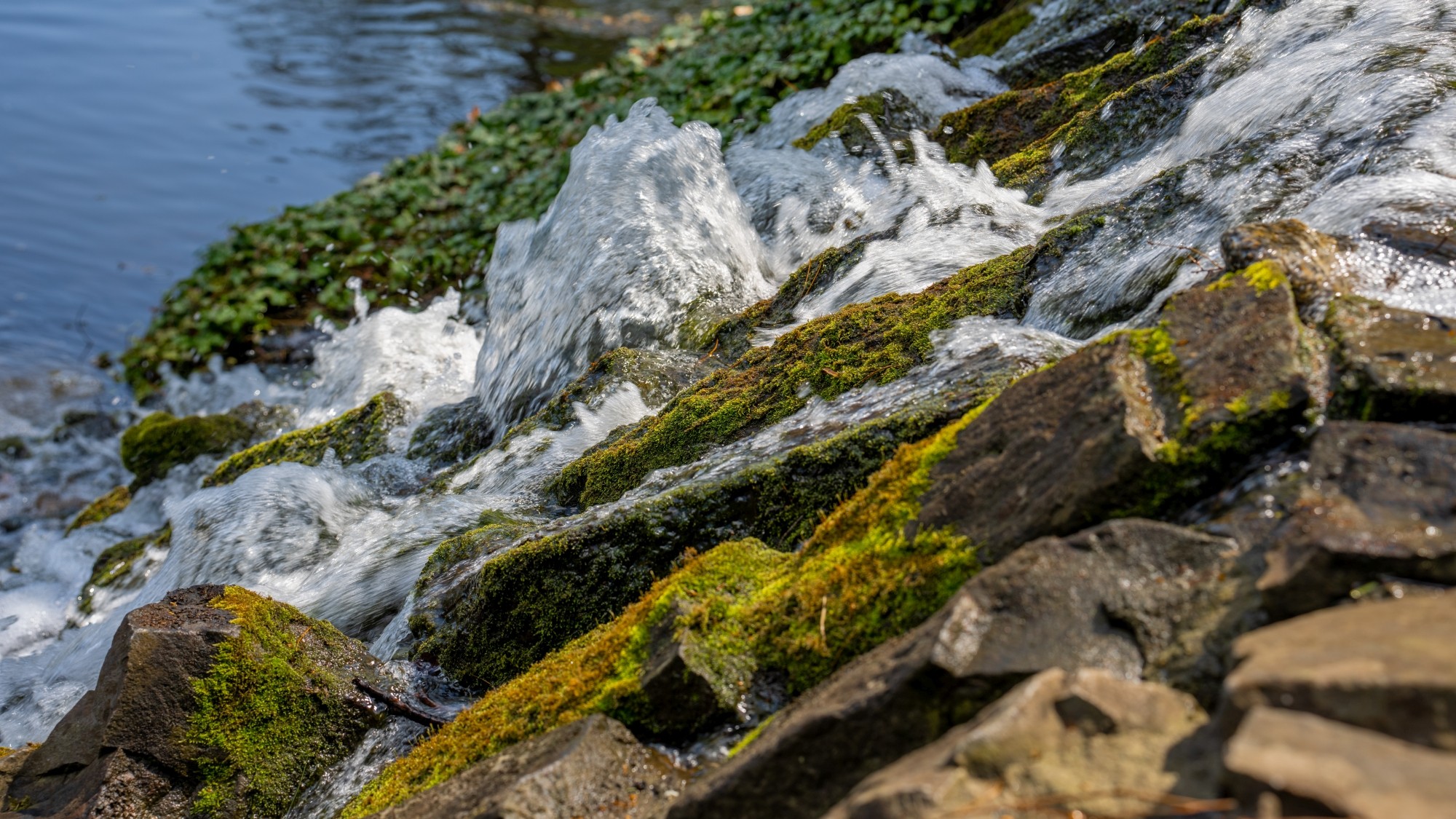 Wiosenna opowieść - zdjęcie 4