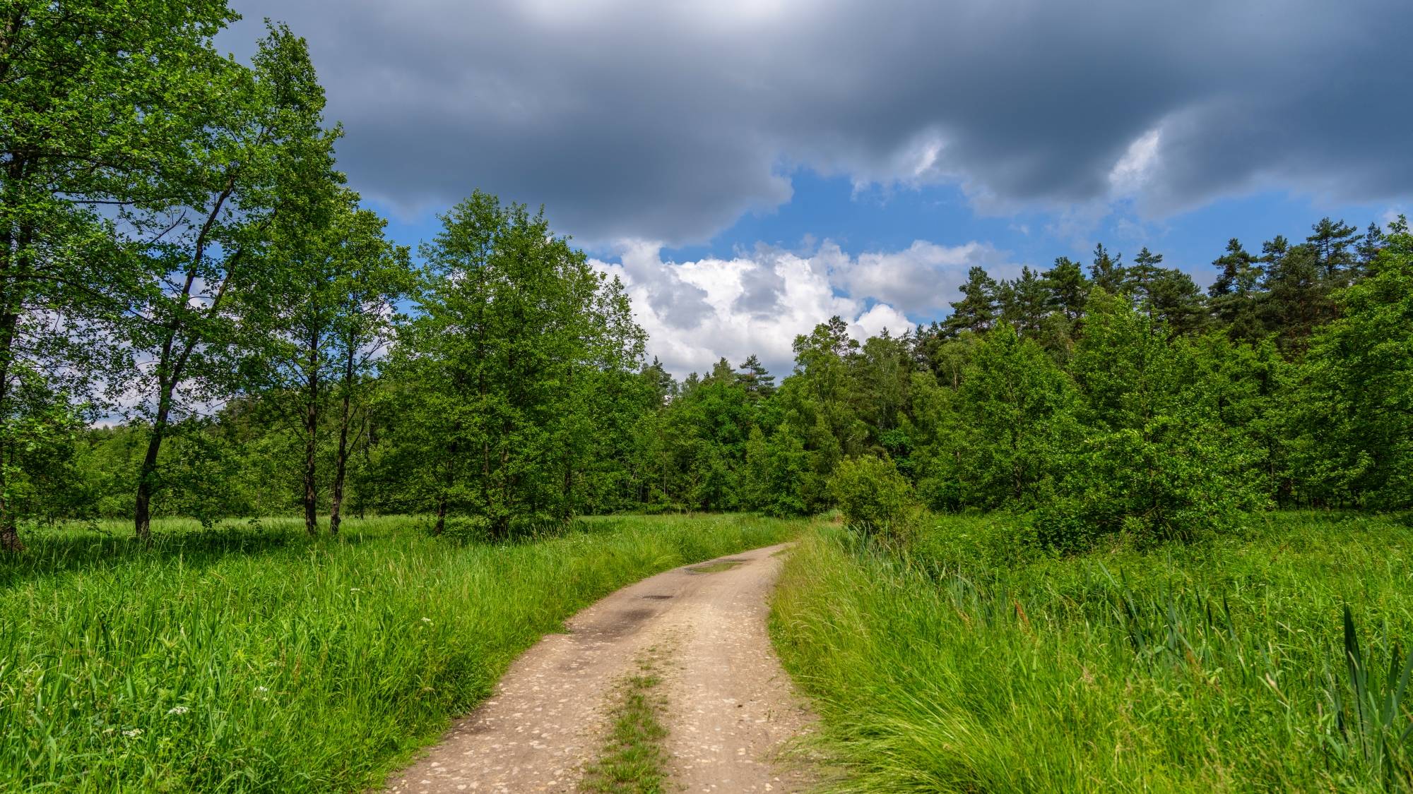 Kolory lata - zdjęcie 32