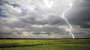 02.07.2020 07:00 Piorun poraził rolnika podczas zbioru truskawek. Gdy przybyli ratownicy, mężczyzna nie dawał oznak życia