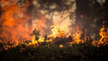 Upały i szalejące pożary w Macedonii. Ogłoszono stan wyjątkowy