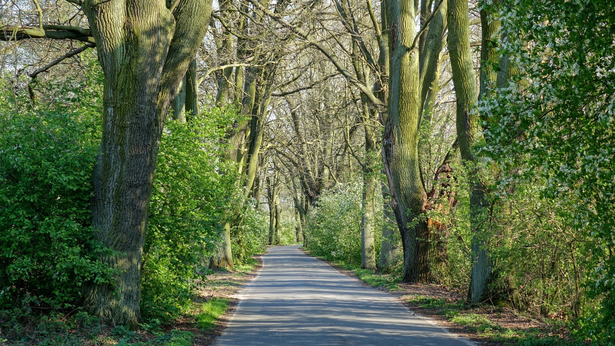 Drogą do raju - zdjęcie 18