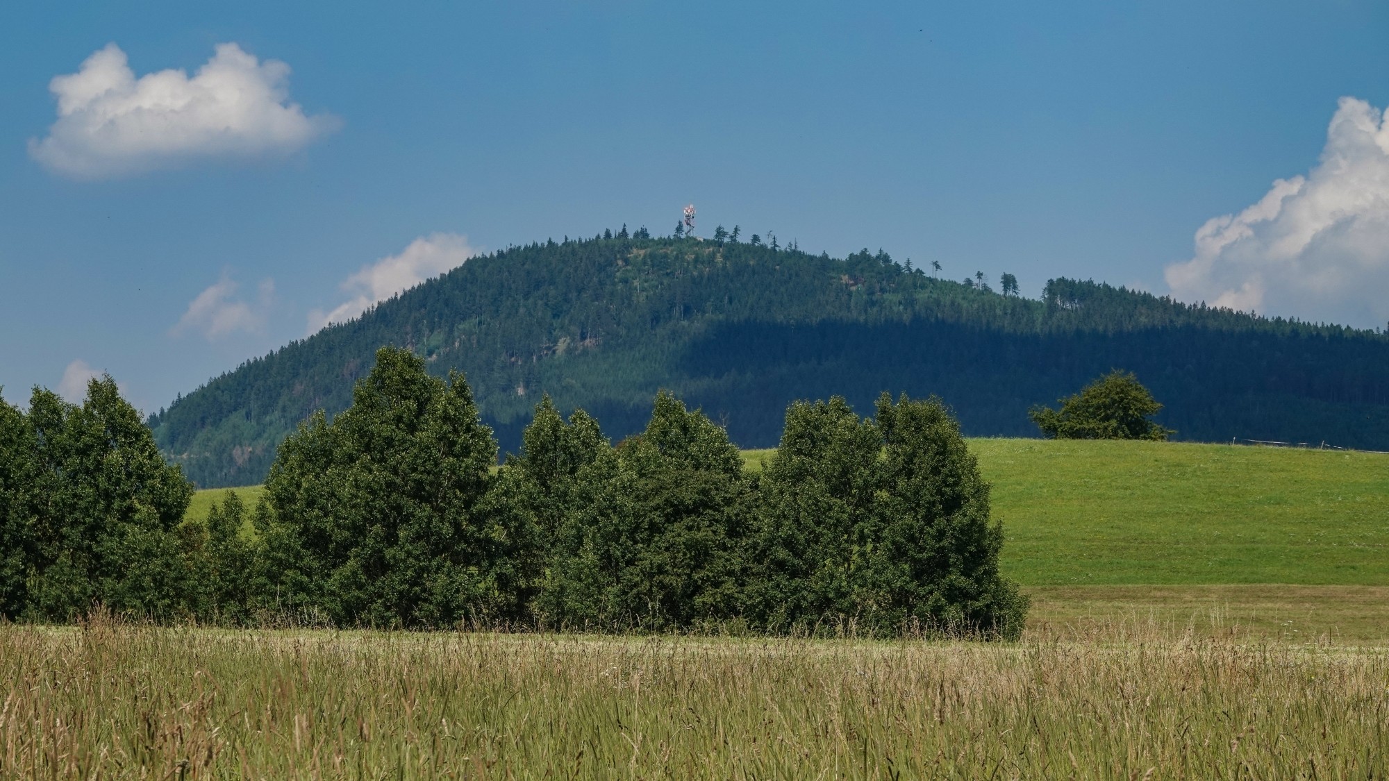 100 najpiękniejszych zdjęć 2020 roku - zdjęcie 110