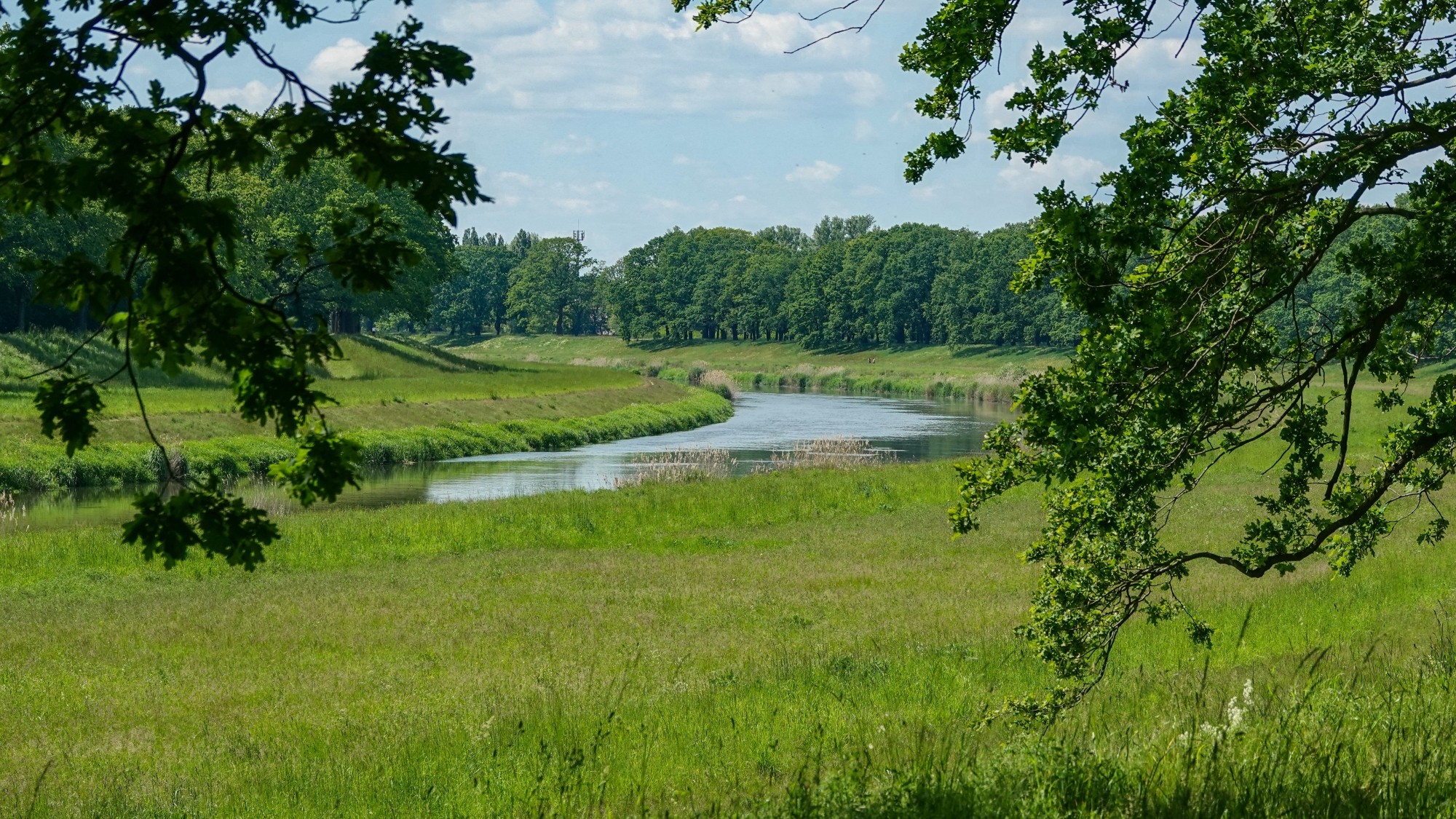 Uroki zielonej pory roku - zdjęcie 73
