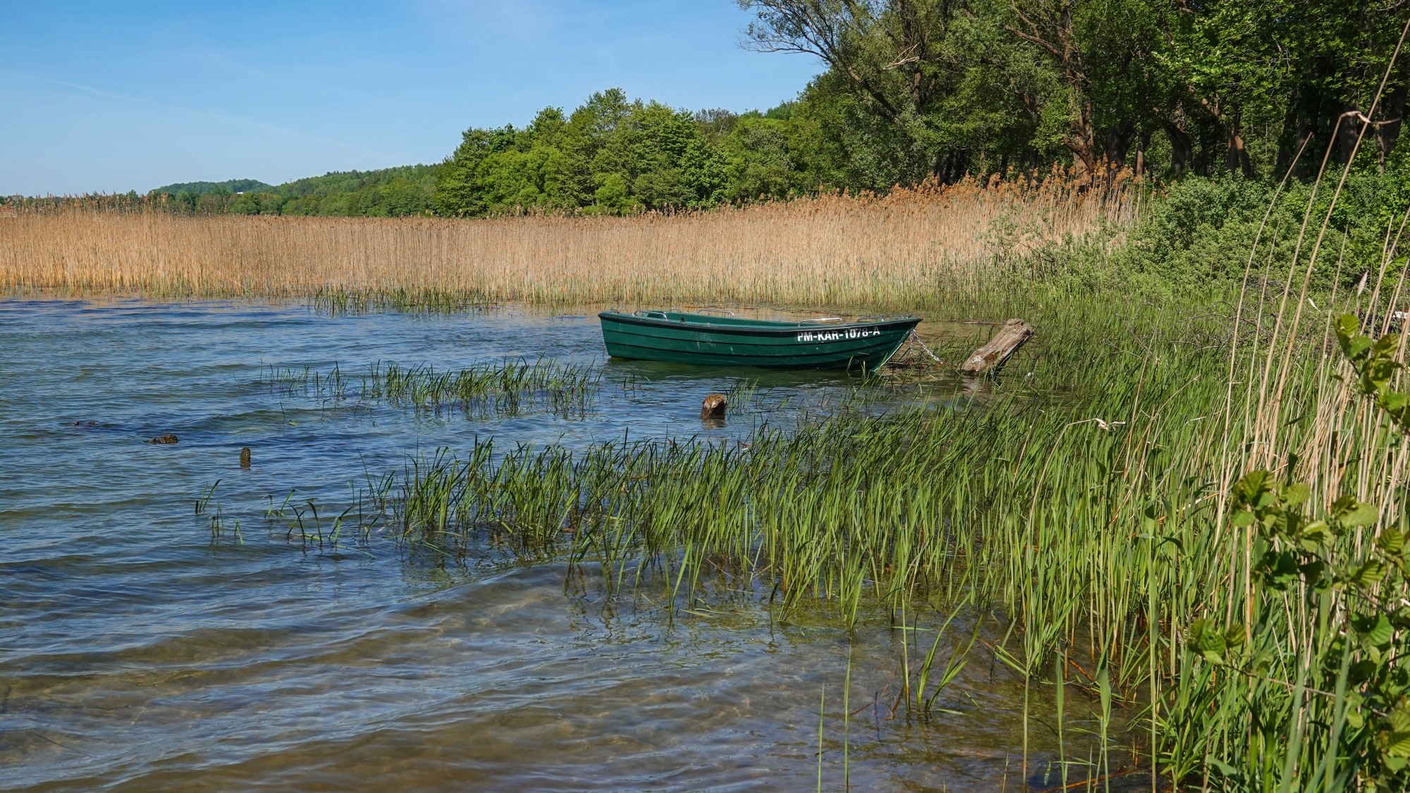 Lato w plenerze - zdjęcie 24