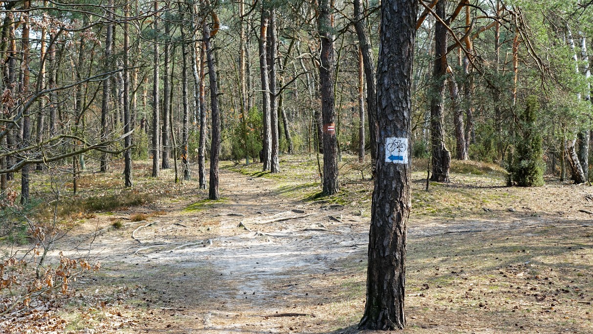 Marzec w obiektywie - zdjęcie 61