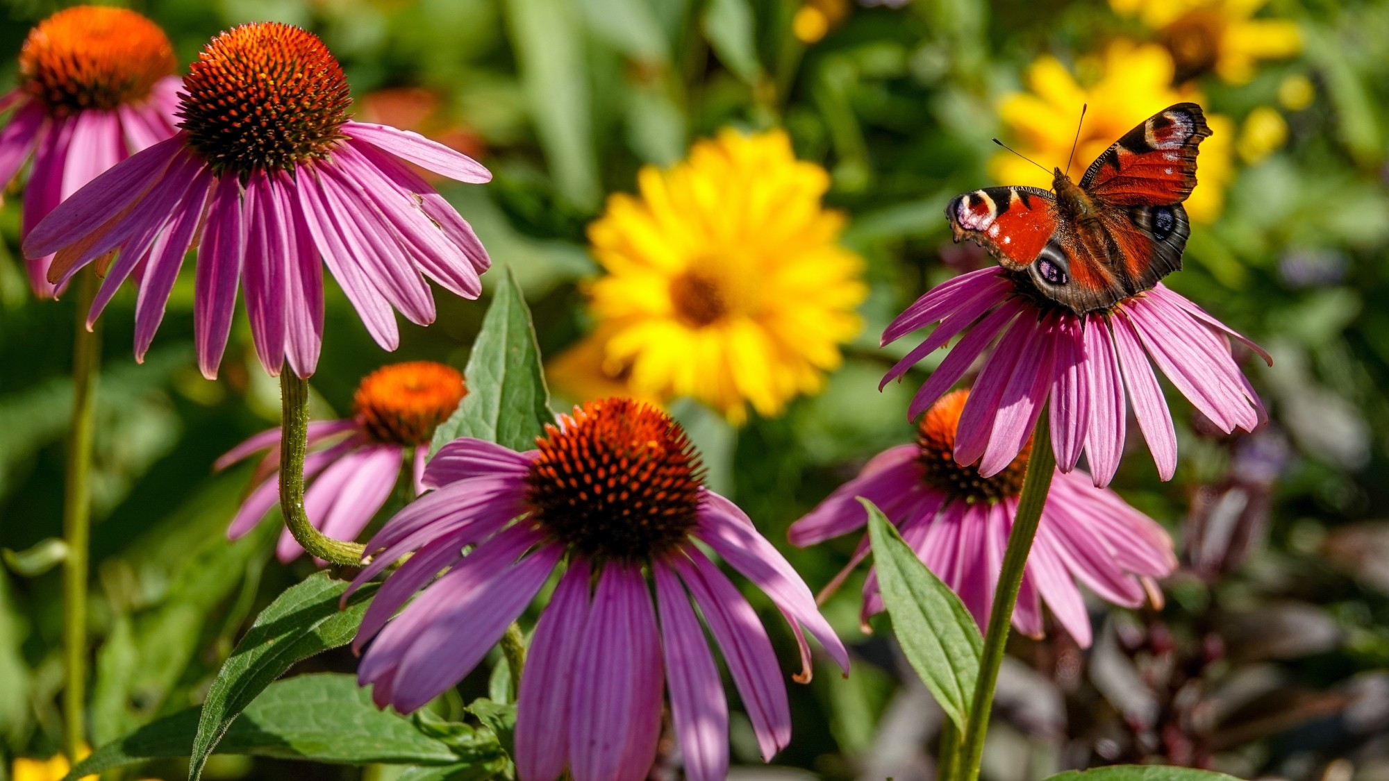 100 najpiękniejszych zdjęć 2021 roku - zdjęcie 81