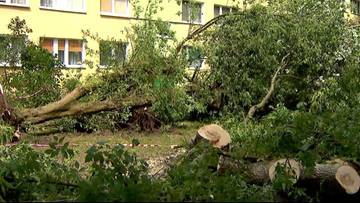 Powalone drzewa, zniszczone dachy, zalane ulice. Przez Polskę przechodzą nawałnice
