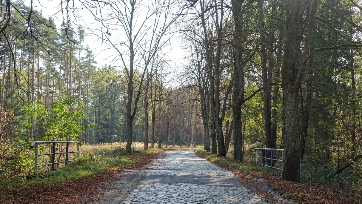 Jesienne krajobrazy za miastem - zdjęcie 85
