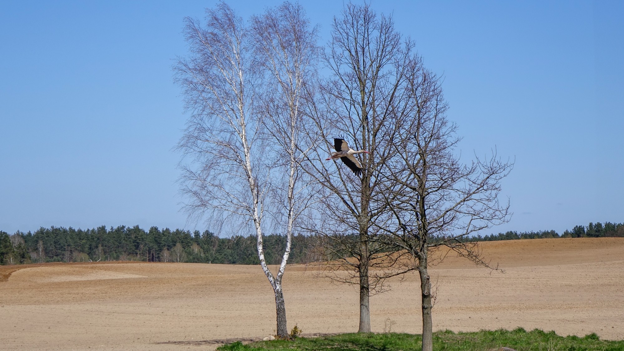Z kamerą wśród zwierząt - zdjęcie 78