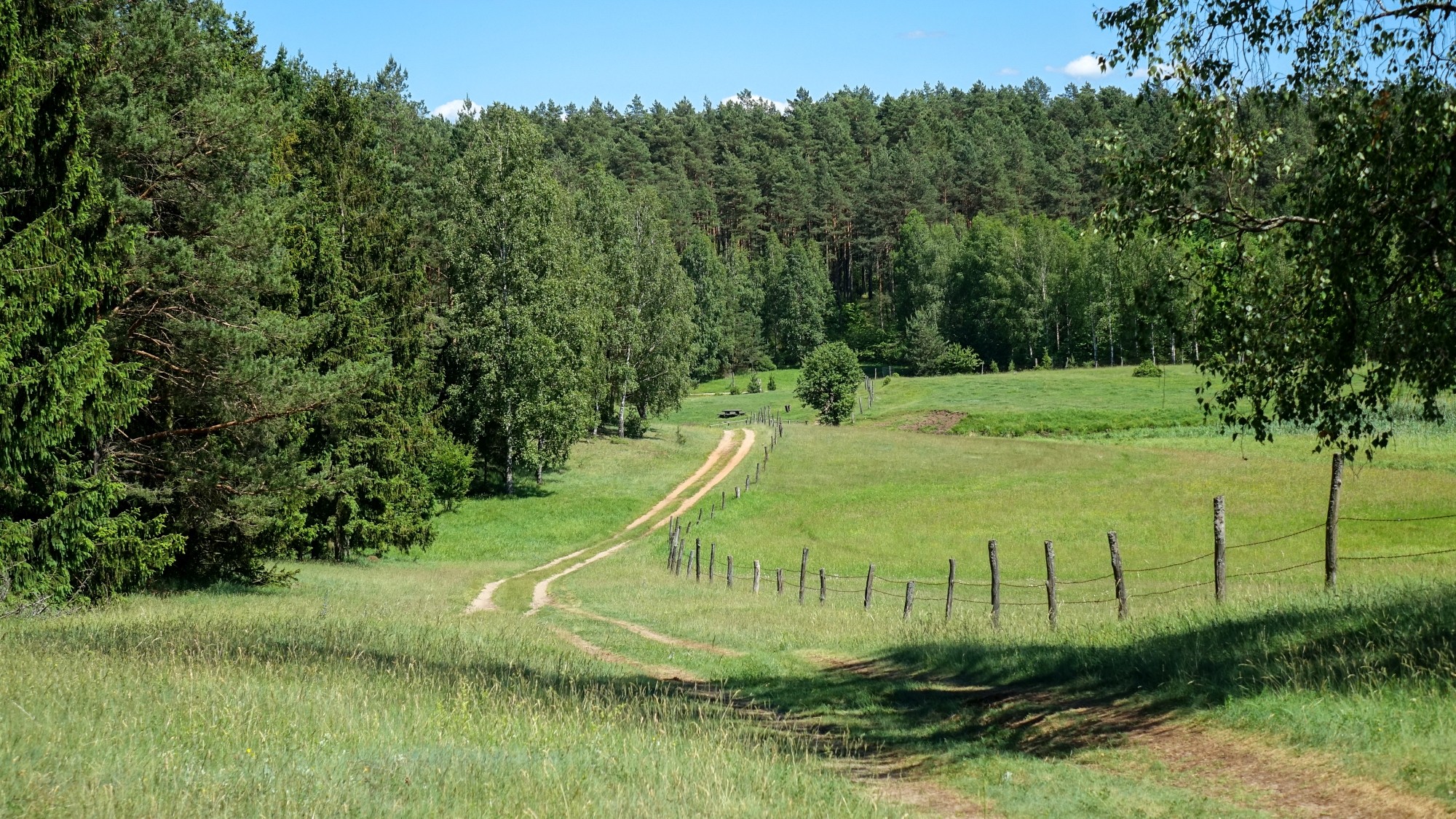 Czerwiec w obiektywie - zdjęcie 5