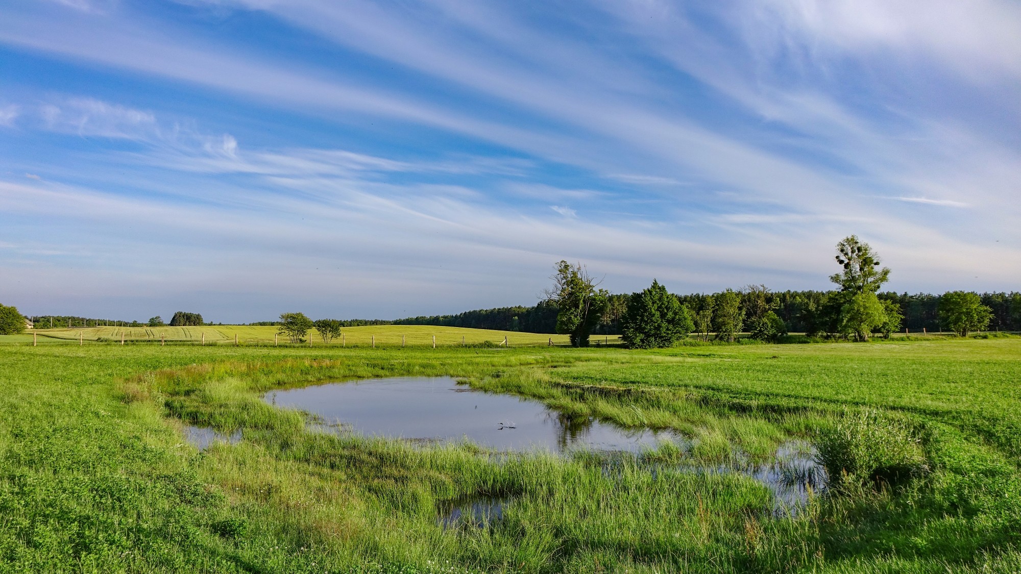 Wakacyjne podróże - zdjęcie 27