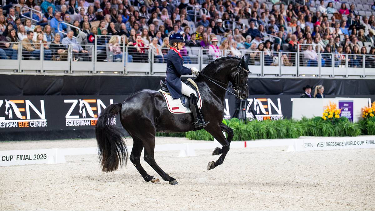 Jeździec na czarnym koniu podczas zawod&oacute;w, na trybunach siedzą widzowie.