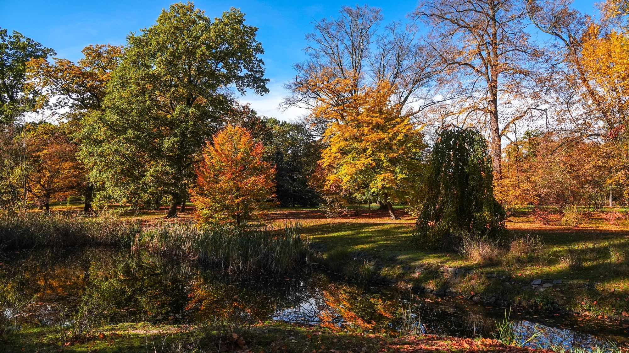 100 najpiękniejszych zdjęć 2020 roku - zdjęcie 47