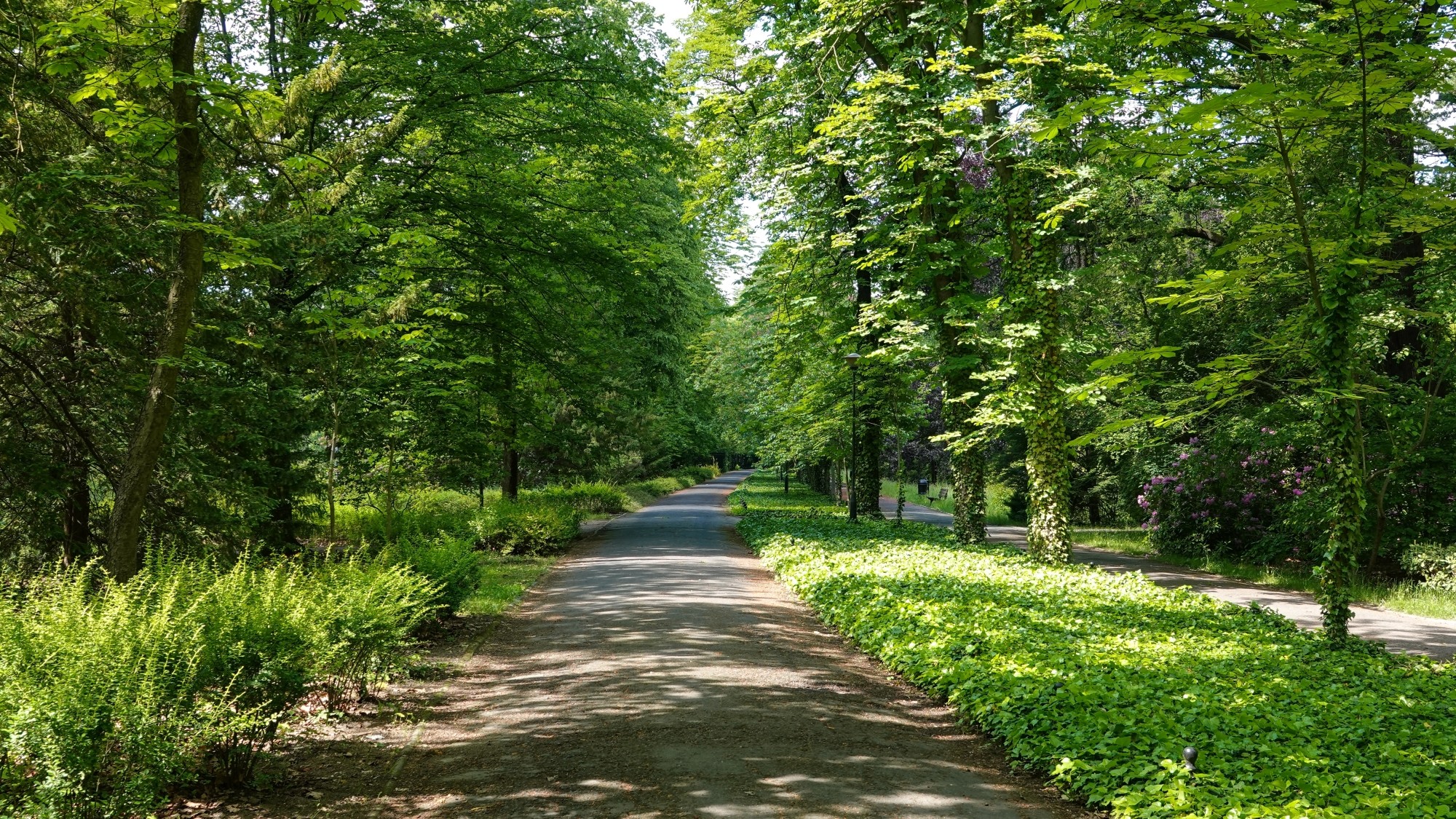 Całe piękno późnej wiosny - zdjęcie 49