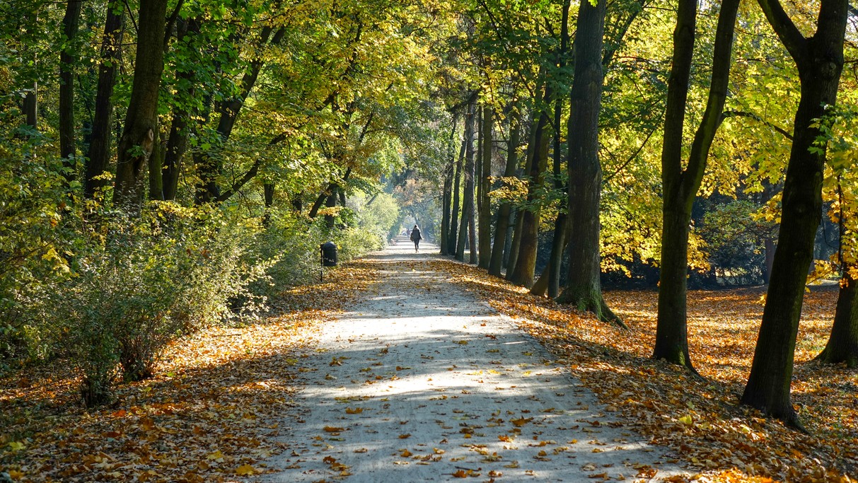 Jesienne klimaty - zdjęcie 32