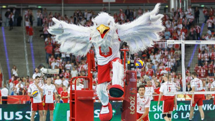 Polscy siatkarze wrócili na tron! Niesamowity sukces w mistrzostwach świata